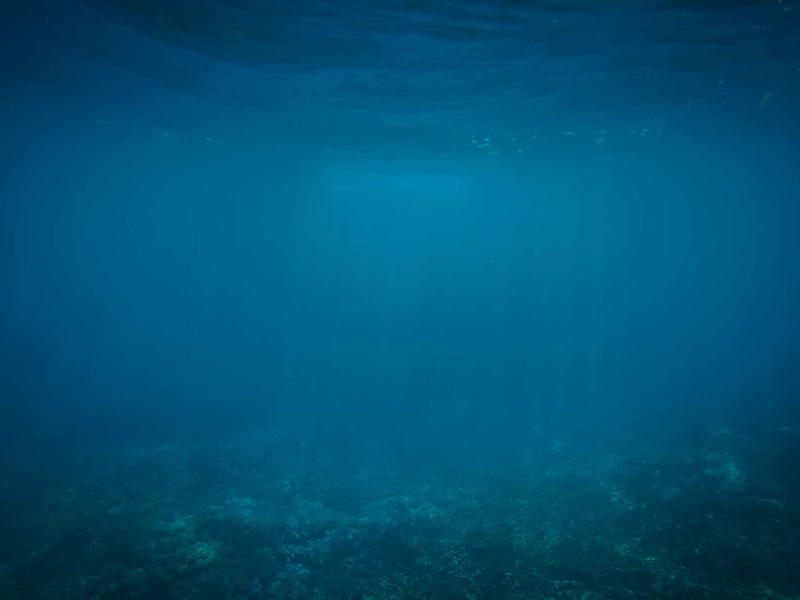 人人电竞比分热门选手评测